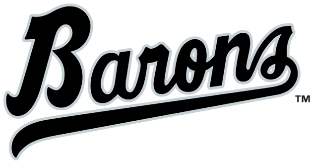 Birmingham Barons 1993-2007 Wordmark Logo iron on paper